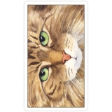 Cats Eye Tarot